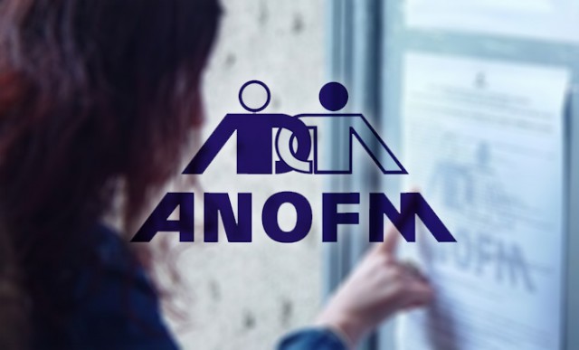 ANOFM: 14.068 de persoane au fost angajate prin Programul Naţional de Ocupare a Forţei de Muncă, în ianuarie