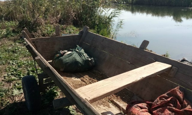 Peste 50 kg de peşte fără documente legale şi plase monofilament, găsite într-o căruță