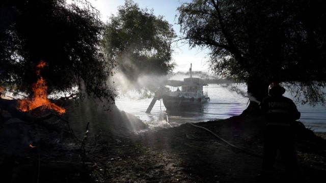 Incendiu de amploare în Delta Dunării: au ars zeci de copaci!