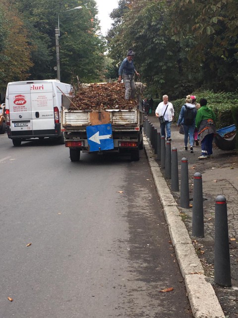 A început curăţenia de toamnă, la Constanța!