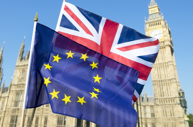 Marea Britanie: Trei partide proeuropene au încheiat un pact pentru alegerile parlamentare
