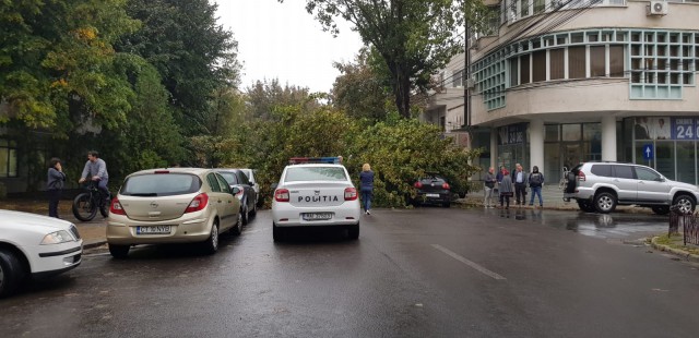 TRAFIC BLOCAT PE STRADA MIRCEA CEL BĂTRÂN: UN COPAC A CĂZUT PESTE MAŞINI! VIDEO