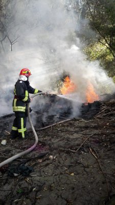 INCENDIU într-un CIMITIR din judeţul Constanţa!