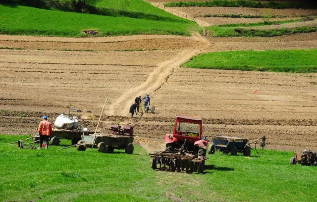 Ministrul Agriculturii, despre modificarea Legii privind vânzarea terenurilor agricole: Accesul va fi uşor şi direct pentru cumpărătorii români