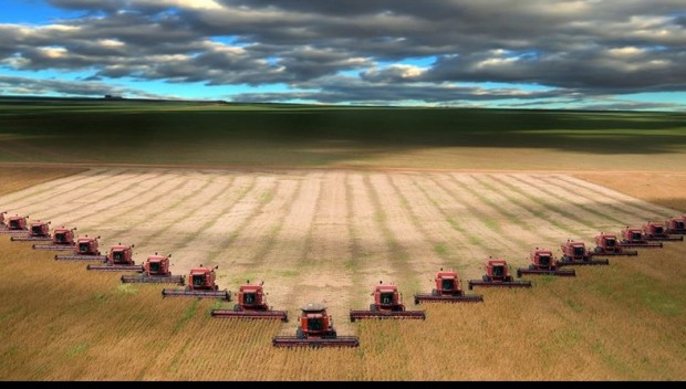 Ministerul Agriculturii: Egis România, contract de aproape 16 mil. lei pentru a-i ajuta pe fermieri să se asocieze în CAP-uri