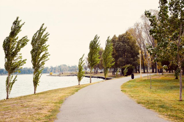 Asociaţia Constanţa Altfel contestă mai multe hotărâri ce au condus la defrişarea spaţiului verde din Parcul Tăbăcărie