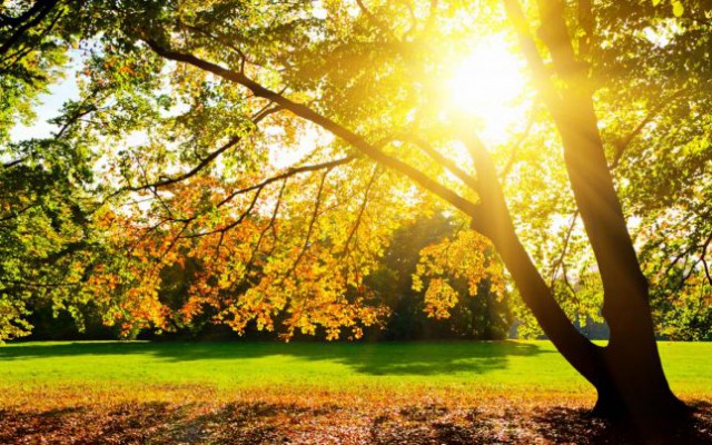 ANM anunţă temperaturi peste cele obişnuite, până aproape de jumătatea lunii mai