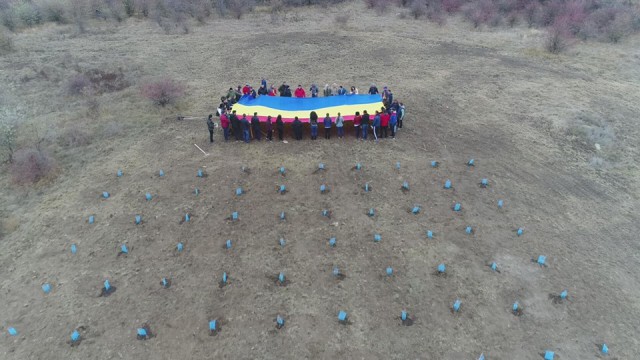 De ziua Dobrogei, tinerii social democrați din Constanța şi Tulcea au plantat arbori