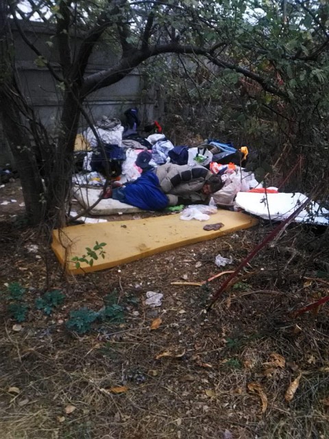 Constănțenii, CAMPIONI la consumat alcool, scandaluri și parcări anapoda!