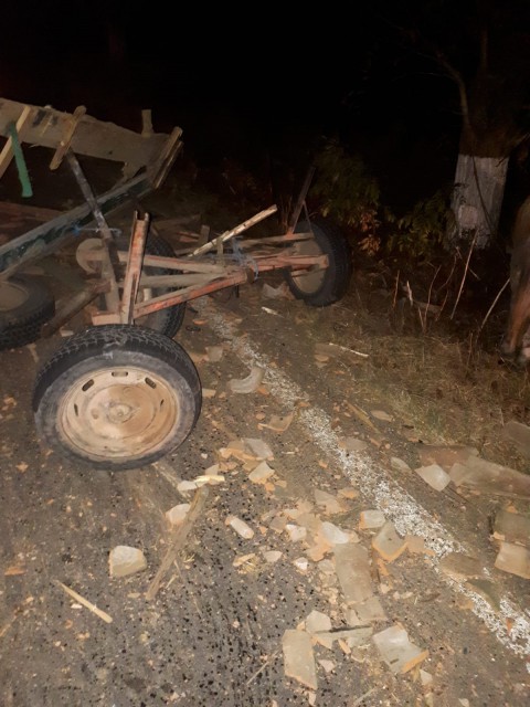 FOTO. Accident rutier grav: UN CĂRUȚAȘ A MURIT!