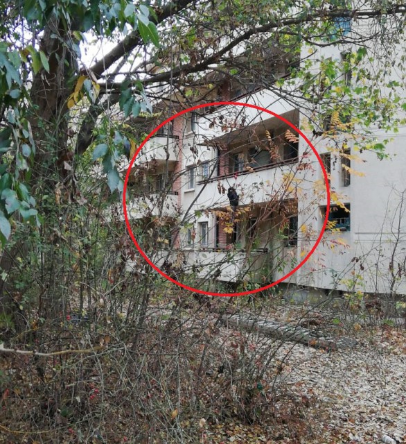 VIDEO. O femeie aflată în DEPRESIE s-a SPÂNZURAT în Tabăra Năvodari