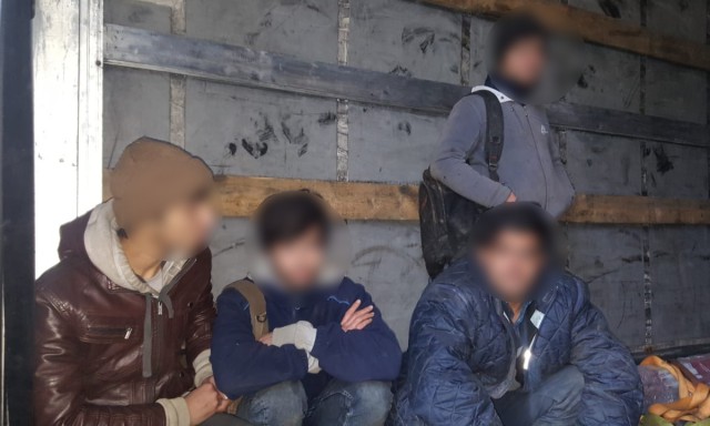 Patru cetățeni afgani s-au ascuns într-un camion pentru a intra în România, prin Constanța!