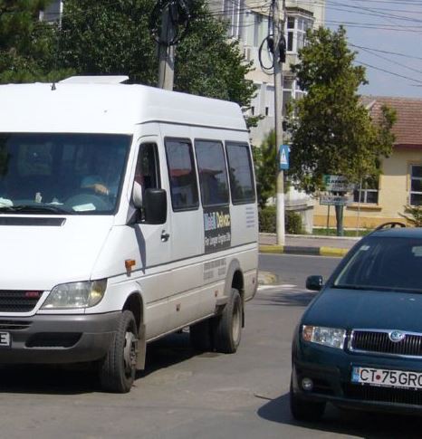 Copiii cu dizabilități din Medgidia, transportați de un apropiat al fostului primar