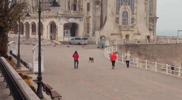 Plimba câinele fără lesă - Constănţean amendat de poliţiştii locali