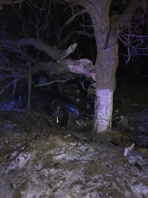 ACCIDENT rutier la Jupiter. Un şofer BEAT a intrat cu maşina în doi copaci