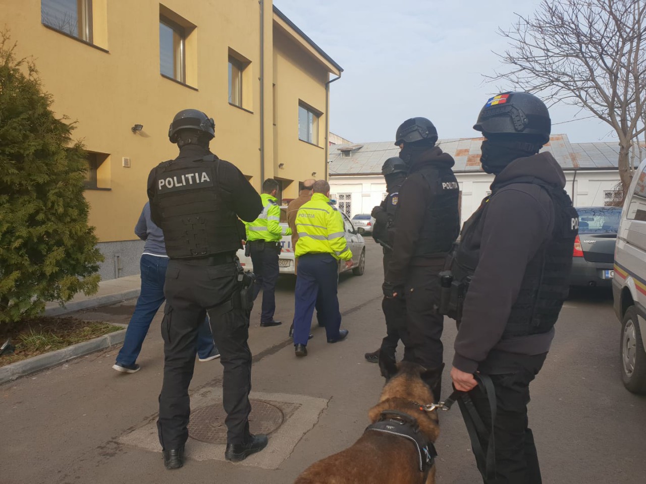RĂFUIALĂ ÎNTRE CLANURI ÎN PIAȚA BRICK! Vinovatul va petrece Revelionul ÎN AREST. VIDEO! RĂFUIALĂ ÎNTRE CLANURI ÎN PIAȚA BRICK! Vinovatul va petrece Revelionul ÎN AREST. VIDEO!