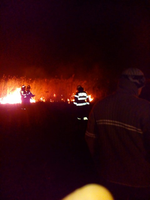 TULCEA: incendiu în zona parcului de eoliene de lângă Agighiol