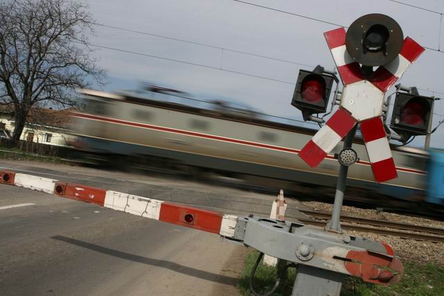 SEMNAL DE ALARMĂ! Sute de permise auto REȚINUTE pentru nerespectarea regulilor la trecerea la nivel cu calea ferată