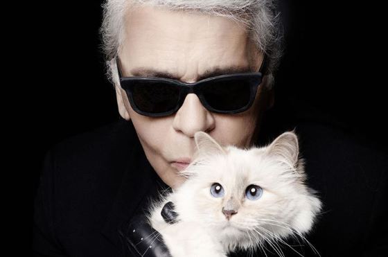 S-a aflat cine are grijă de pisica moştenitoare a lui Karl Lagerfeld