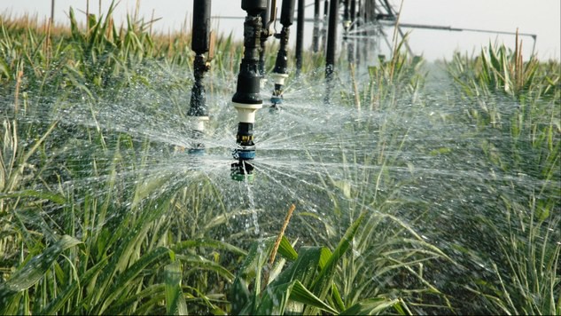 Barbu (ANIF): Suprafaţa contractată pentru irigaţii se ridică la 762.223 hectare, în 22 de judeţe;suntem pregătiţi pentru 1,4 milioane hectare