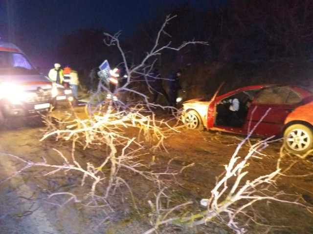 Un tânăr a INTRAT cu MAȘINA în COPAC!