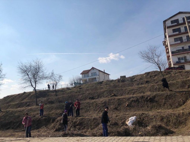 Au fost strânse GUNOAIELE de pe taluzurile Bulevardului Mamaia Nord