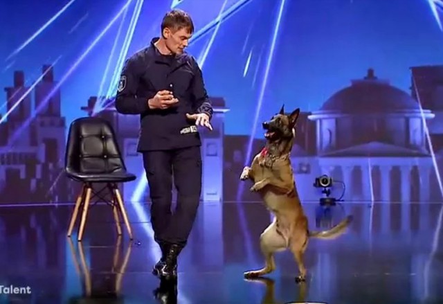 Câinele de frontieră care i-a lăsat fără cuvinte pe jurații Românii au talent