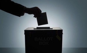 Senatorul Ion Popa susţine votul anticipat pentru diaspora