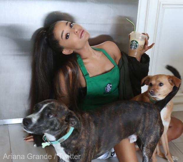 Ariana Grande şi-a lansat o băutură în colaborare cu Starbucks