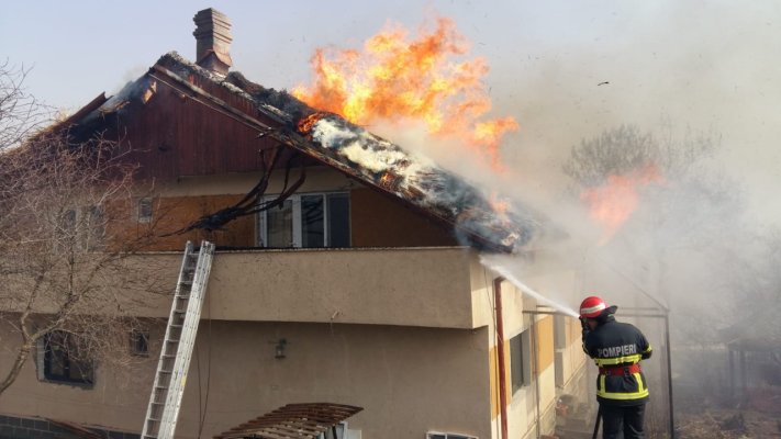 INCENDIU de PROPORȚII: flăcările au distrus o plantație viticolă și o casă!
