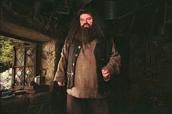 Hagrid din „Harry Potter“ a ajuns în scaun cu rotile! Actorul are o poveste de viaţă tragică