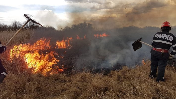 PÂRJOL PE CÂMP, în Delta Dunării! Pompierii intervin cu ... pliciuri!