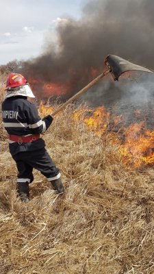 Alarmă pe plaja din Corbu după ce a izbucnit un incendiu de vegetație uscată. VIDEO