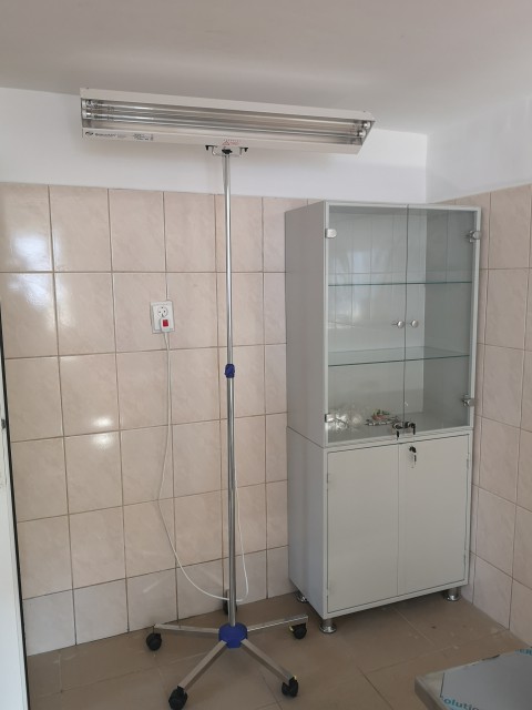 Video. Lucrările la adăpostul pentru câinii fără stăpân se apropie de final