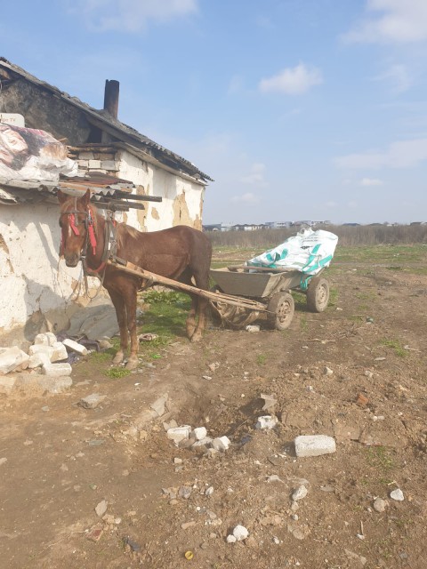 Copil lăsat nesupravegheat, lovit de o căruță, la Constanța! VIDEO