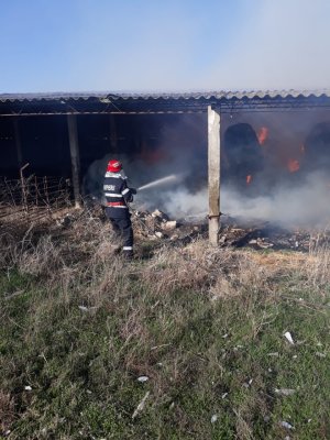 INCENDIU la un GRAJD de ANIMALE, în Rasova