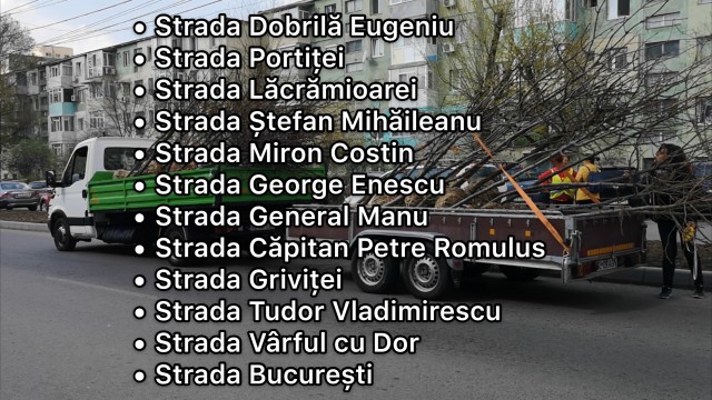 Continuă plantările de primăvară! VIDEO