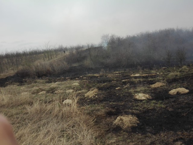 Incendiu de proporții la Hârșova. Pompierii au fost chemați de acasă!