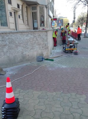Se reabilitează jardinierele din municipiul Constanța