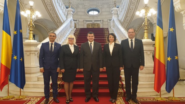 Turcescu, după consultările de la Cotroceni: Am propus şi o întrebare legată de reducerea numărului de parlamentari sau alegerile din două tururi