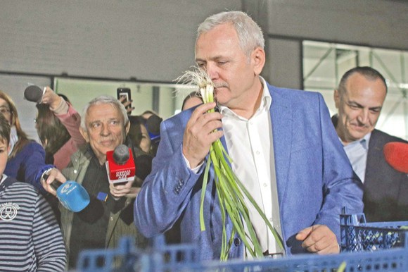 După ordinul dat de Liviu Dragnea, ANSVSA a făcut prăpăd: sute de tone de fructe și legume, neutralizate