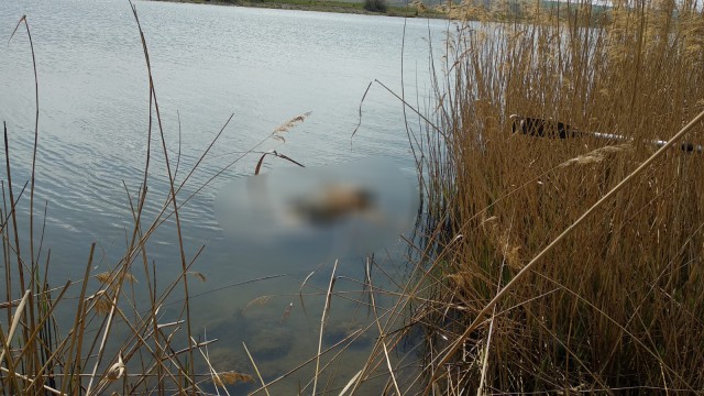 Alertă la 112: persoană moartă în canalul Dunăre-Marea Neagră