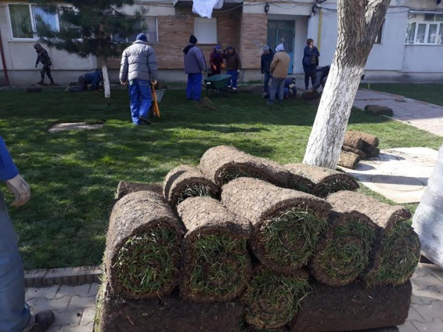 A început curăţenia de primăvară la Năvodari!