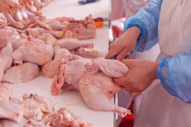ACEBOP: Piaţa cărnii de pasăre din România se confruntă cu supraproducţie, importuri masive şi campanii media negative, legate de utilizarea hormonilor