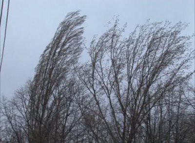 Vremea se menține în continuare rece, în Dobrogea
