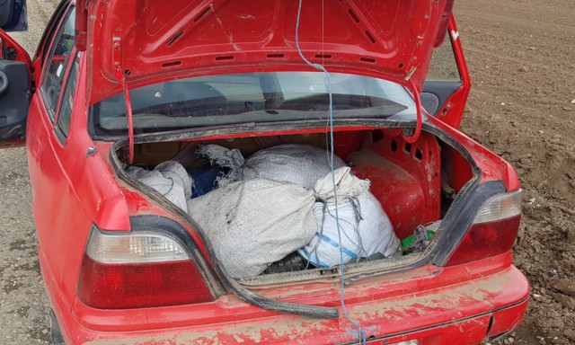 Plase de pescuit și aproximativ 100 kg de peşte fără documente legale, confiscate de poliţişti