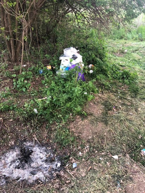 Pădurea de la Valu lui Traian, ACOPERITĂ de GUNOAIELE PETRECĂREȚILOR. Primăria face curat după NESIMŢIŢI!
