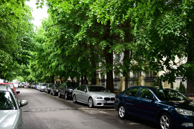 TRAFIC ÎNGREUNAT pe o arteră intens circulată a Constanței! Motivul: se toaletează copacii!