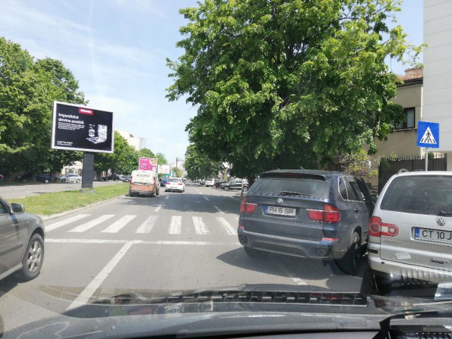 Se întâmplă în Constanța: acel moment când ești BIVOL și crezi că ți-ai luat bulevard!