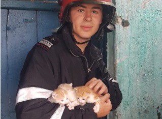INCENDIU PUTERNIC în județul CONSTANȚA! Pompierii au salvat pui de pisică! VIDEO